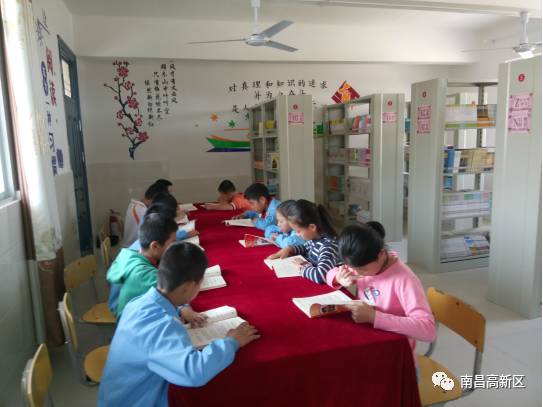 昌东镇楼厂小学校园飘逸 梅花 香