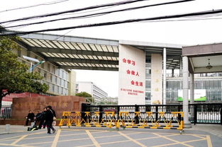 大厂不是厂,大厂是我们的家园