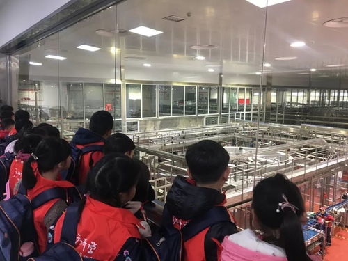 活动回顾 麓山兰亭实验小学文化列车 工厂是甜的,面粉是萌的