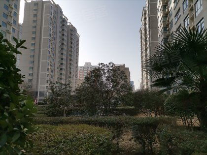 启福华都小区优点 不足,启福华都小区怎么样,启福华都小区周边房产中介经纪人评价 郑州安居客