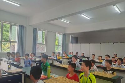 新县启福小学举行“党旗引领我成长”象棋比赛颁奖典礼