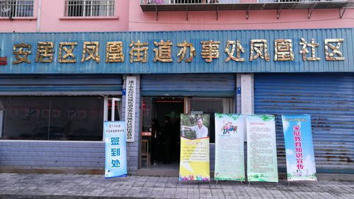 遂宁市妇联精品家庭教育讲座走进安居农村小学 街道社区 城市中学