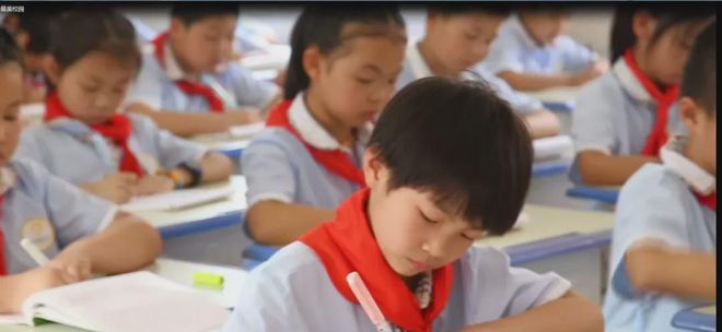 新县启福小学2021年秋季一年级新生招生公告