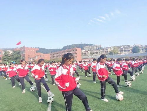 新县启福小学2020年秋季运动会隆重举行
