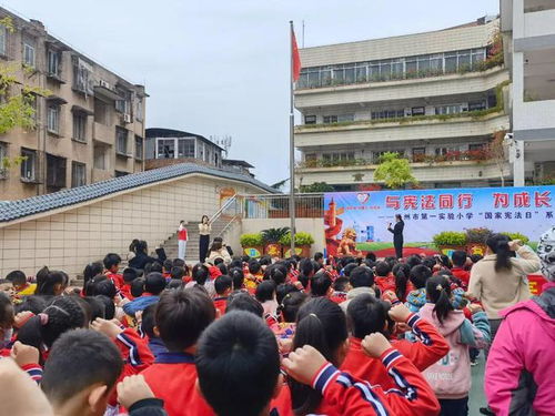 阳光护苗 与法 童 行 万秀法院开展 12 4 国家宪法日法治宣传活动