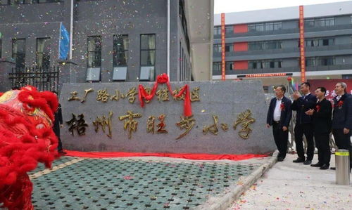 梧州工厂路小学首个分校区——啟福小学今日正式开学，校园美景引人赞叹